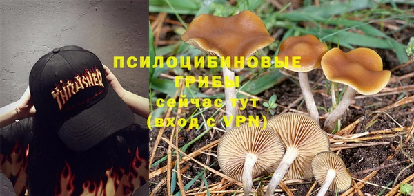 jwh Алексеевка