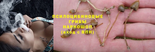 ГАЛЛЮЦИНОГЕННЫЕ ГРИБЫ Алексин
