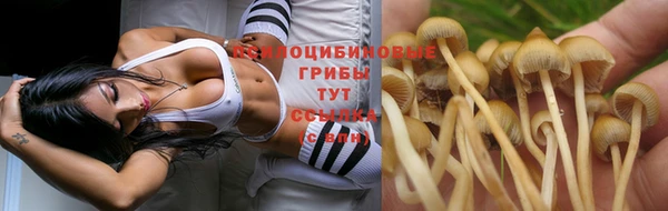 ГАЛЛЮЦИНОГЕННЫЕ ГРИБЫ Алексин