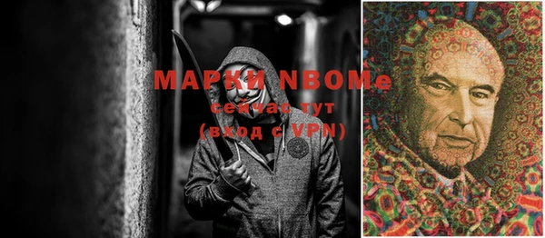 ГАЛЛЮЦИНОГЕННЫЕ ГРИБЫ Алексин