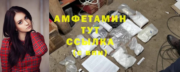 ГАЛЛЮЦИНОГЕННЫЕ ГРИБЫ Алексин