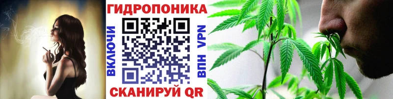 Бошки марихуана ГИДРОПОН  дарнет шоп  omg ссылка  Безенчук 